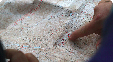 <p>Business Driven Design</p> illustration